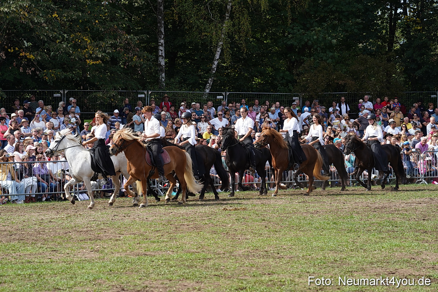 Pferde und Fohlenschau 2022 0260 